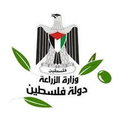 Palestine Client 1